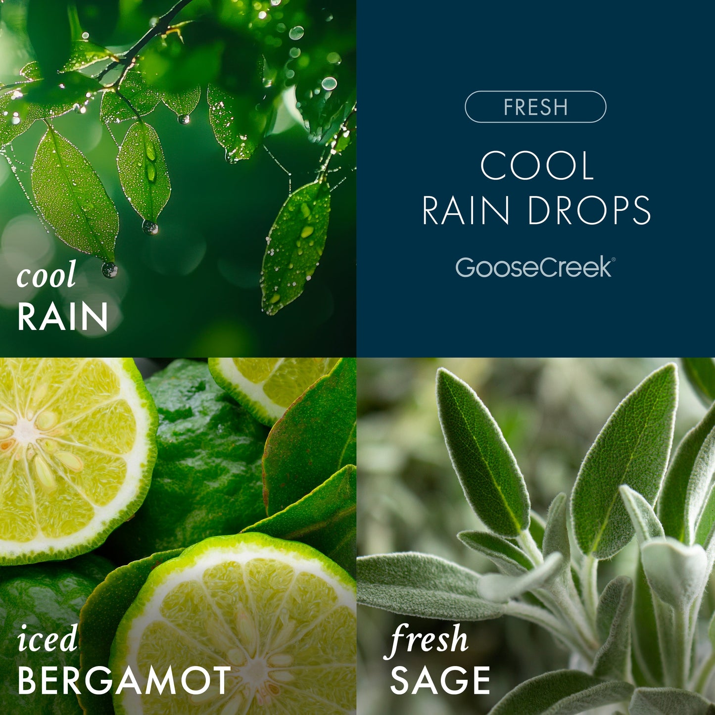 Cool Rain Drops 3-Wick Candle