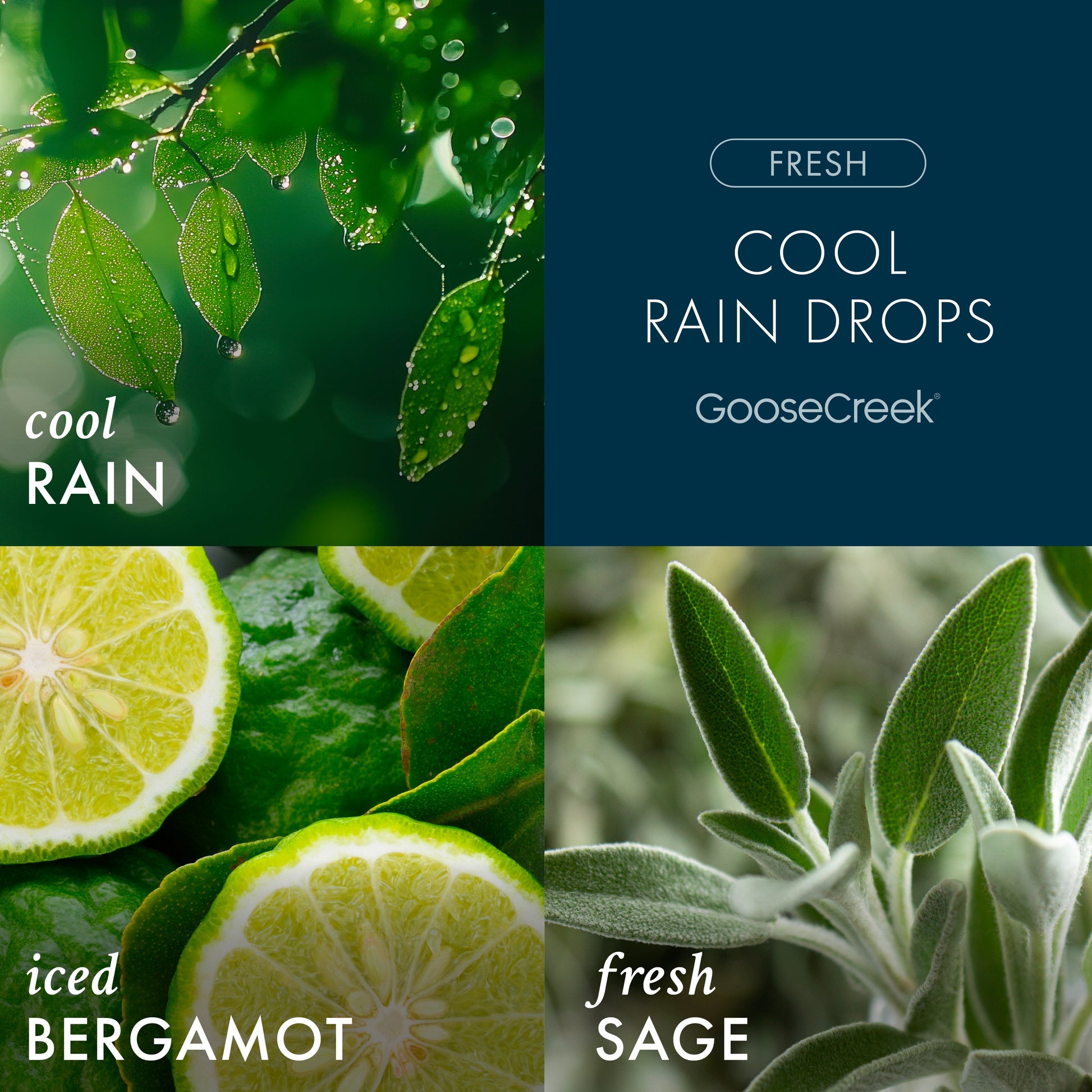 Cool Rain Drops 3-Wick Candle