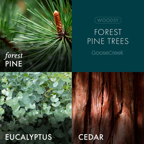 Forest Pine Trees 3-Wick Candle