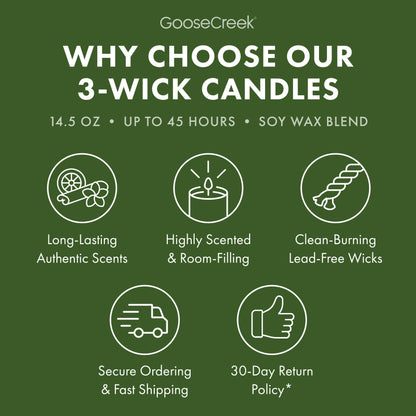 Forest Pine Trees 3-Wick Candle