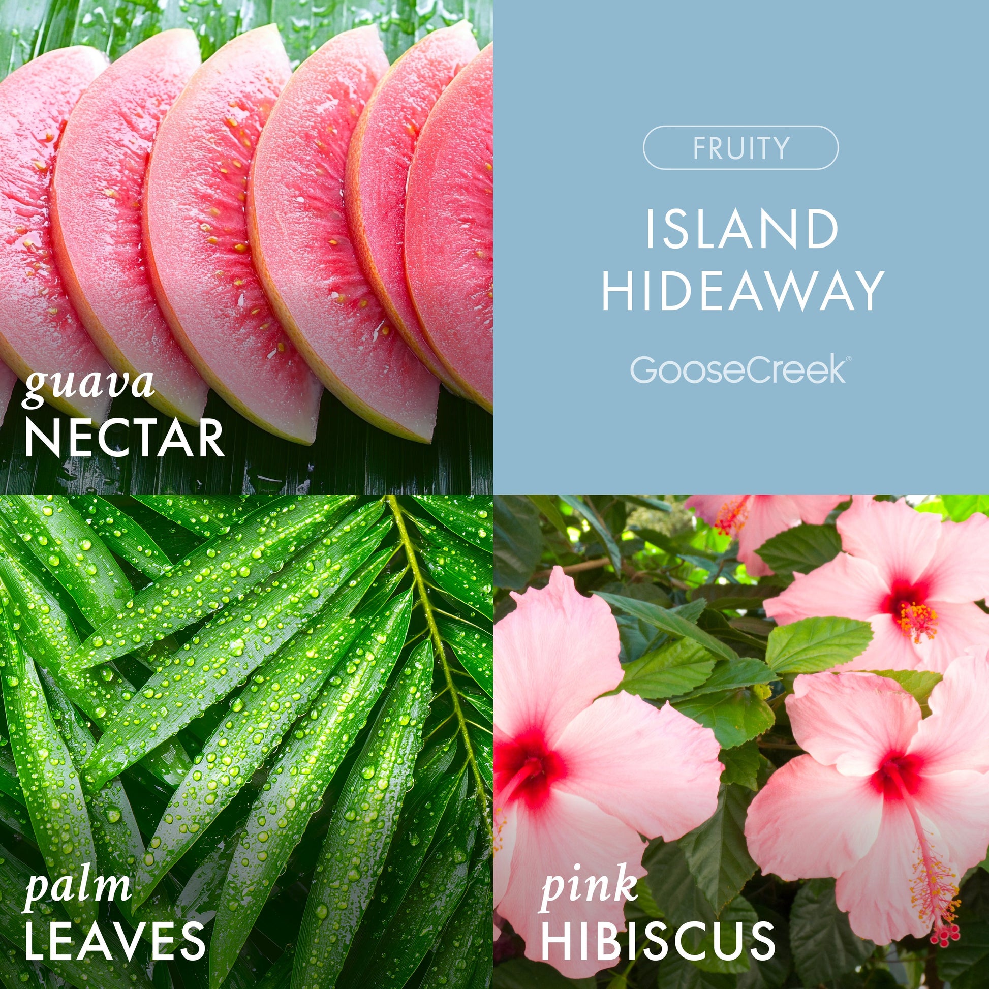 Island Hideaway Plug-in Refill