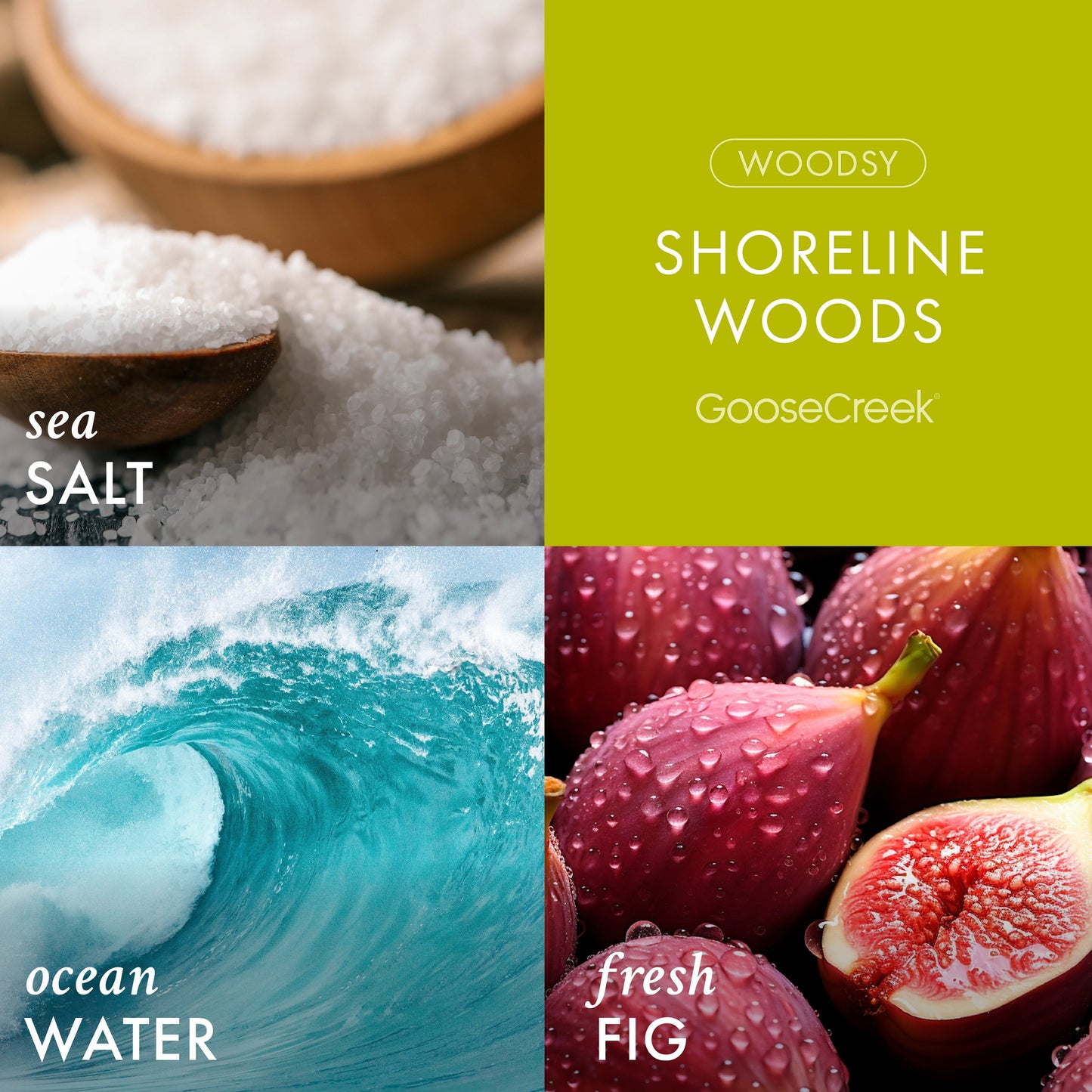 Shoreline Woods 3-Wick Candle